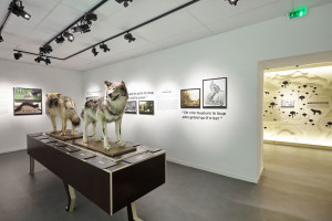 2016-MuseeDuLoup-2