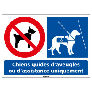 l0952_chiens_guides_uniquement-z