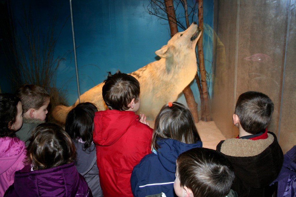 Musée du Loup