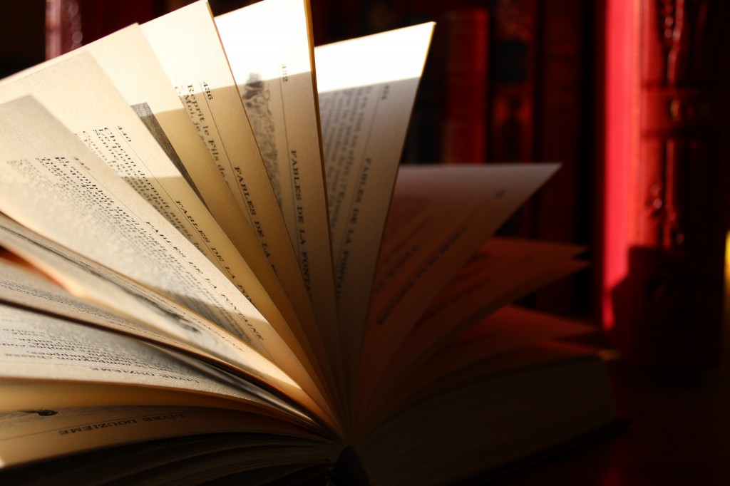 Salon du Livre