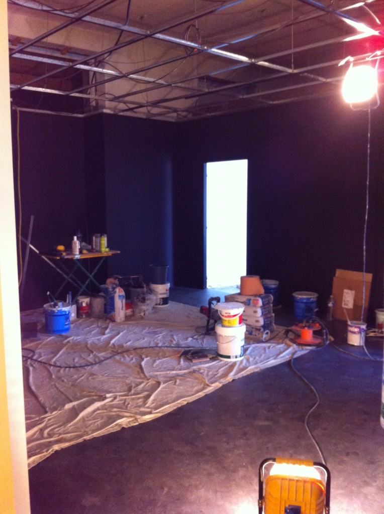 Travaux Musée du Loup Mars 2014