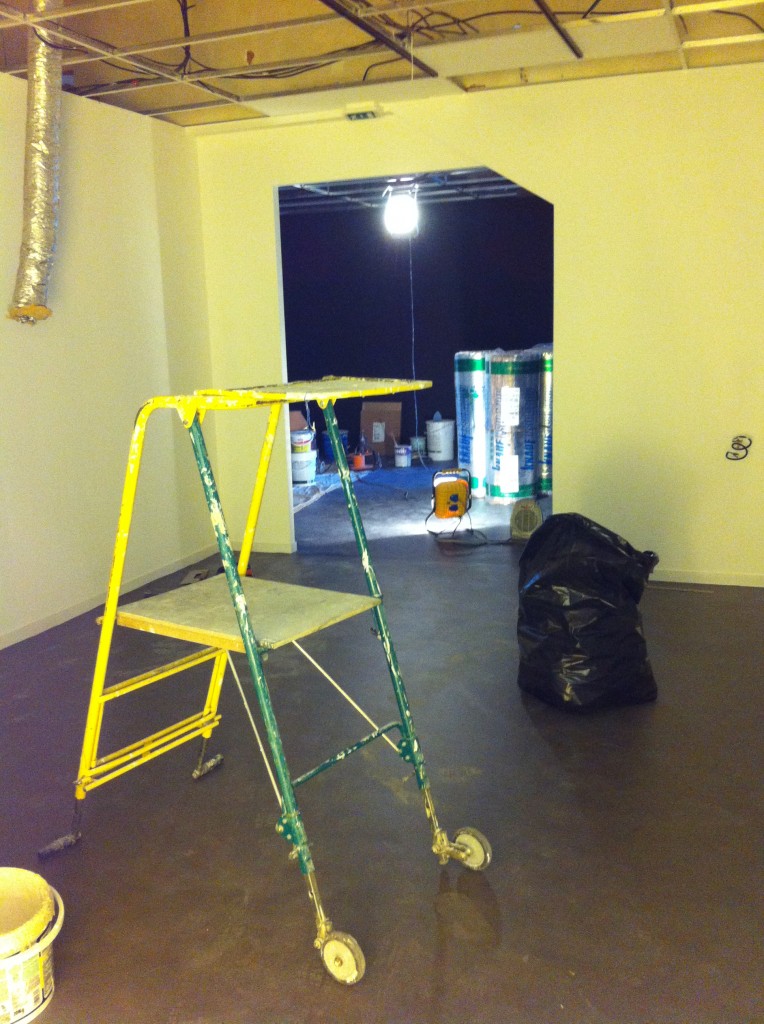 Travaux Musée du Loup Mars 2014