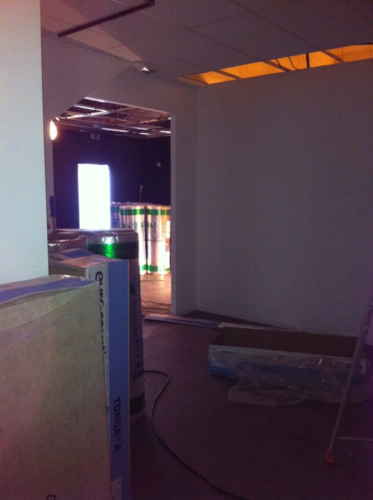 Travaux Musée du Loup Mars 2014