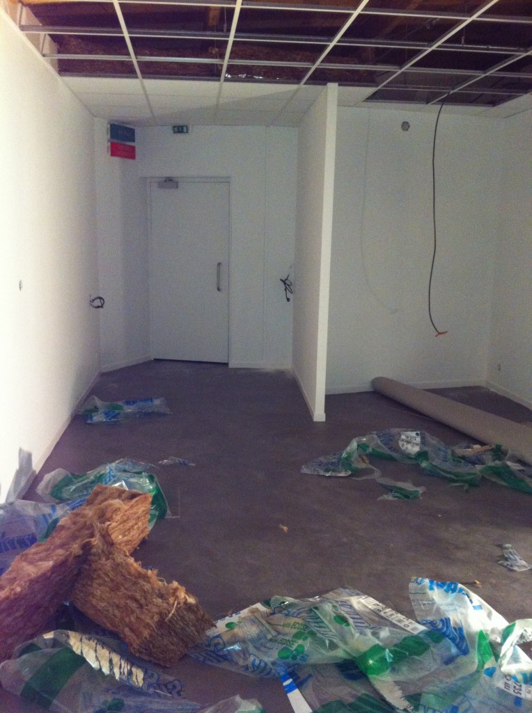 Travaux Musée du Loup Mars 2014