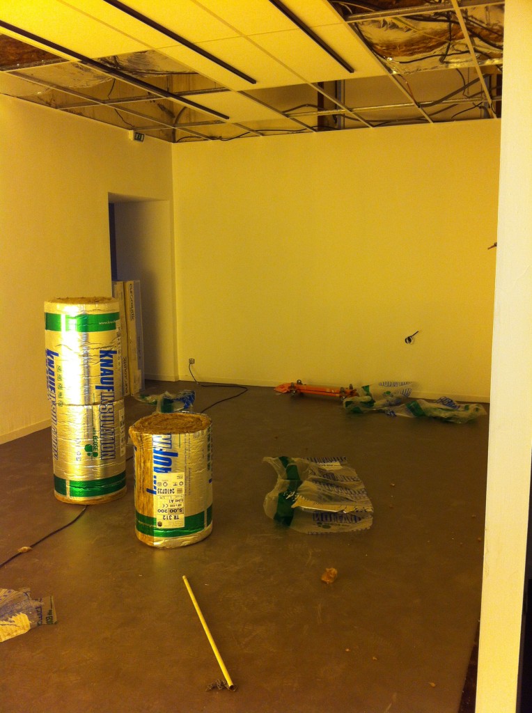 Travaux Musée du Loup Mars 2014