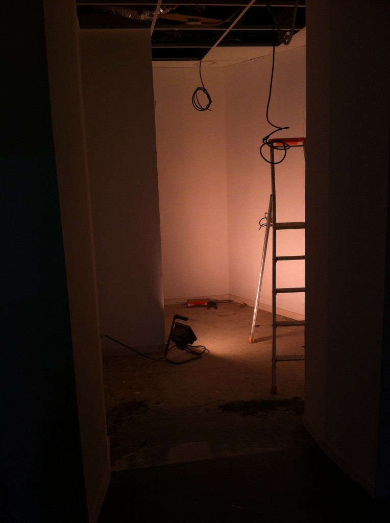 Travaux Musée du Loup Mars 2014