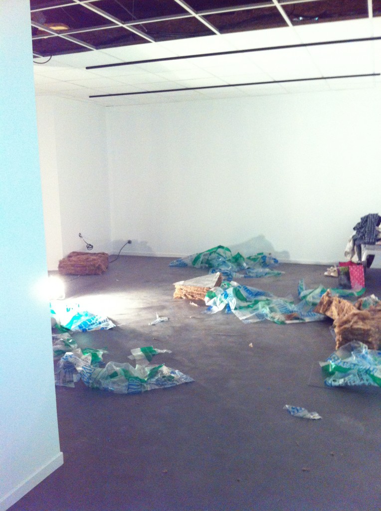 Travaux Musée du Loup Mars 2014