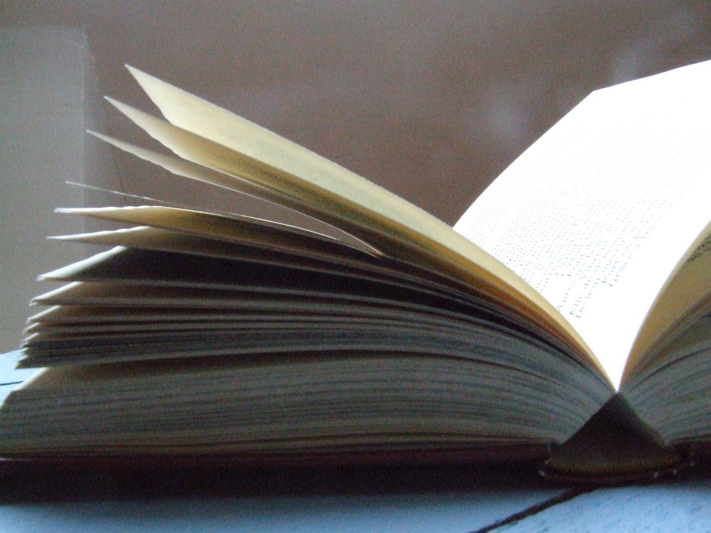 Salon du livre 2015