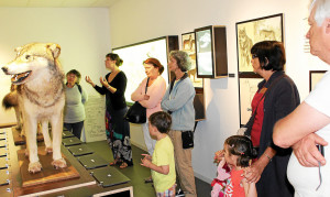 christianpro_2016072112362747_Cloitremusee