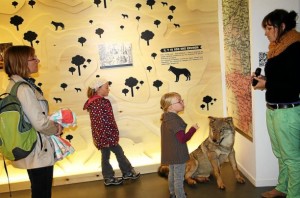 Visite guidée du Musée du Loup