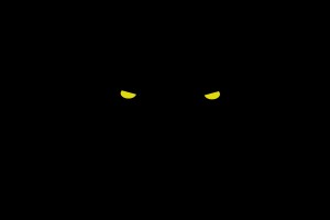 nuit_du_loup