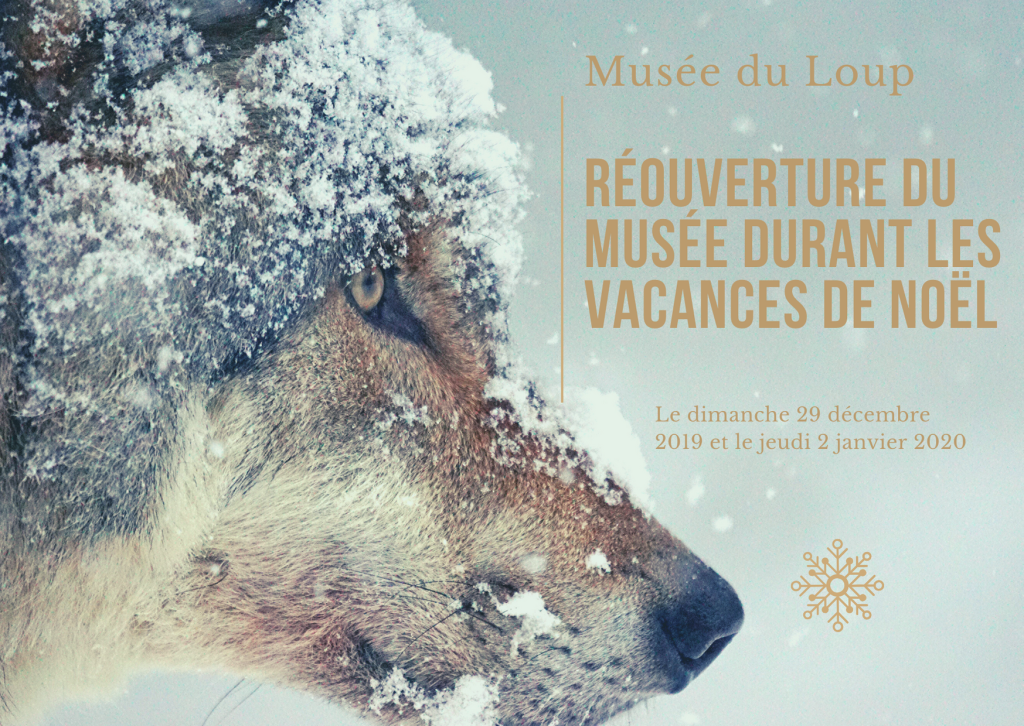 Musée du Loup