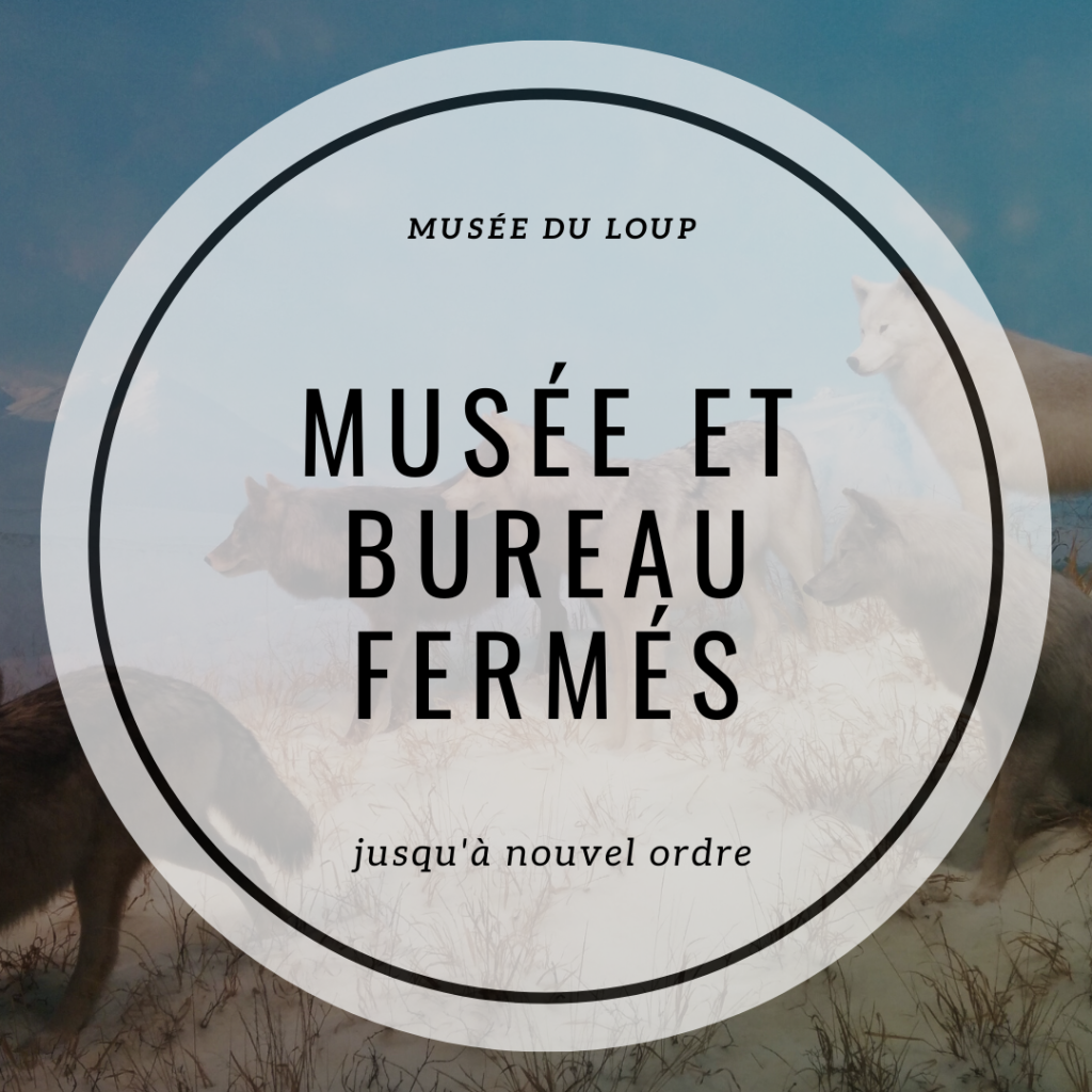 Musée du Loup