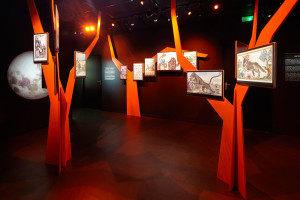 Musée du Loup (2)