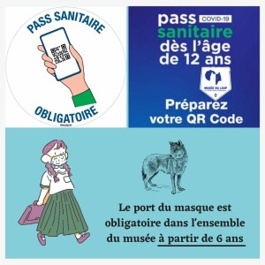 Pass sanitaire 12 ans