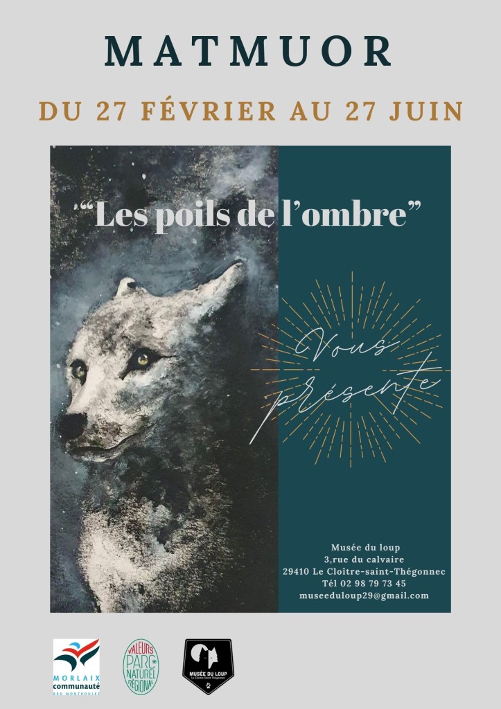 Les poils de l'ombre affiche