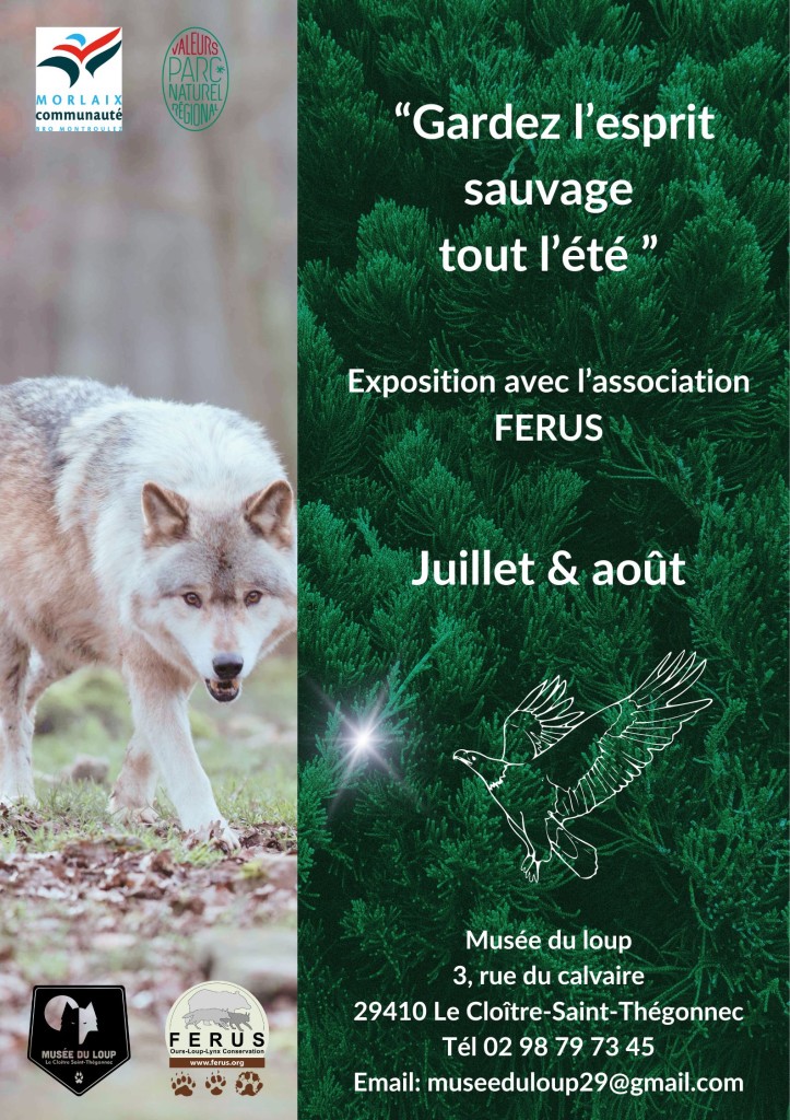 AFFICHE FERUS