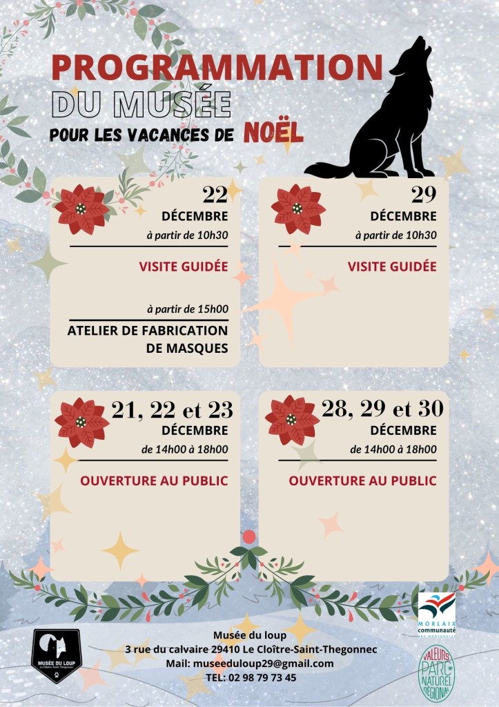Affiche - vacances de Noël