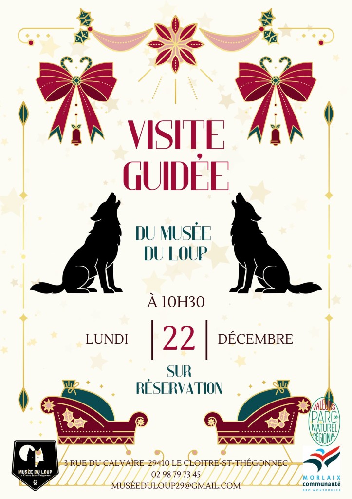 Affiche - visite guidée (22 décembre 2025)