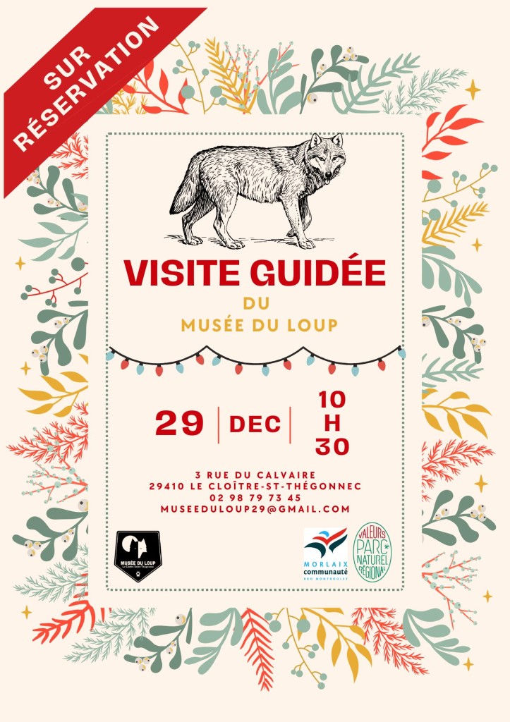 Affiche - visite guidée (29 décembre 2025)