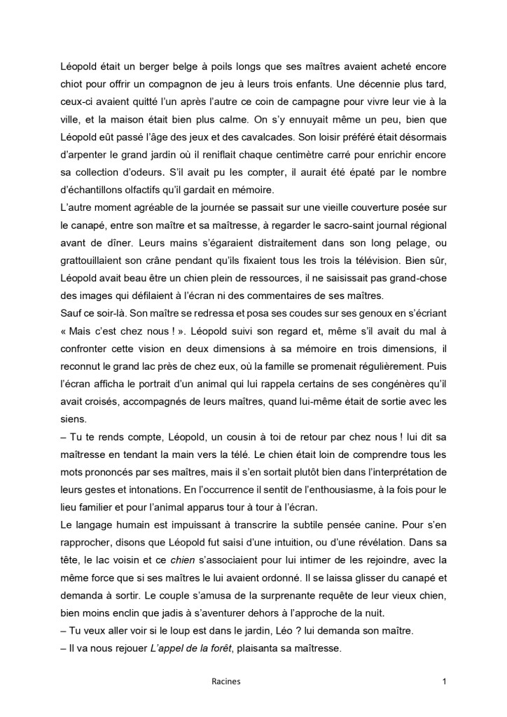 Catégorie ADULTE - 2ème place - Racines de Renan LEVAILLANT_page-0001