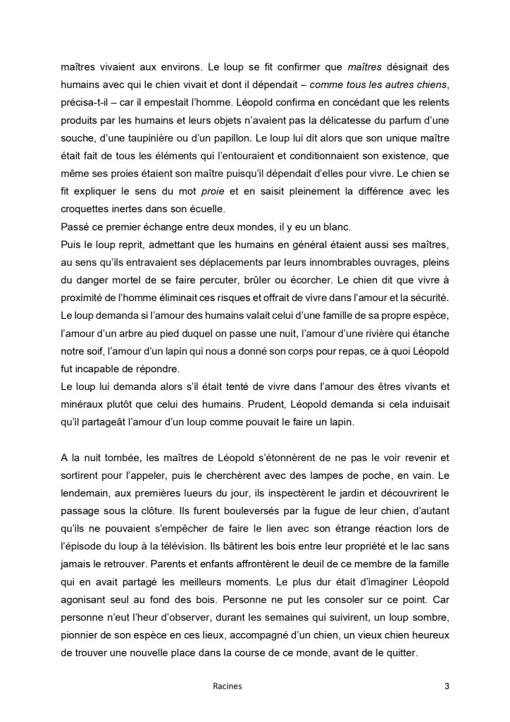 Catégorie ADULTE - 2ème place - Racines de Renan LEVAILLANT_page-0003