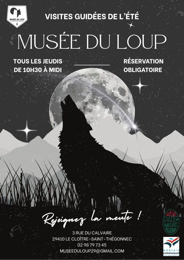 Affiche - visites guidées de l'été