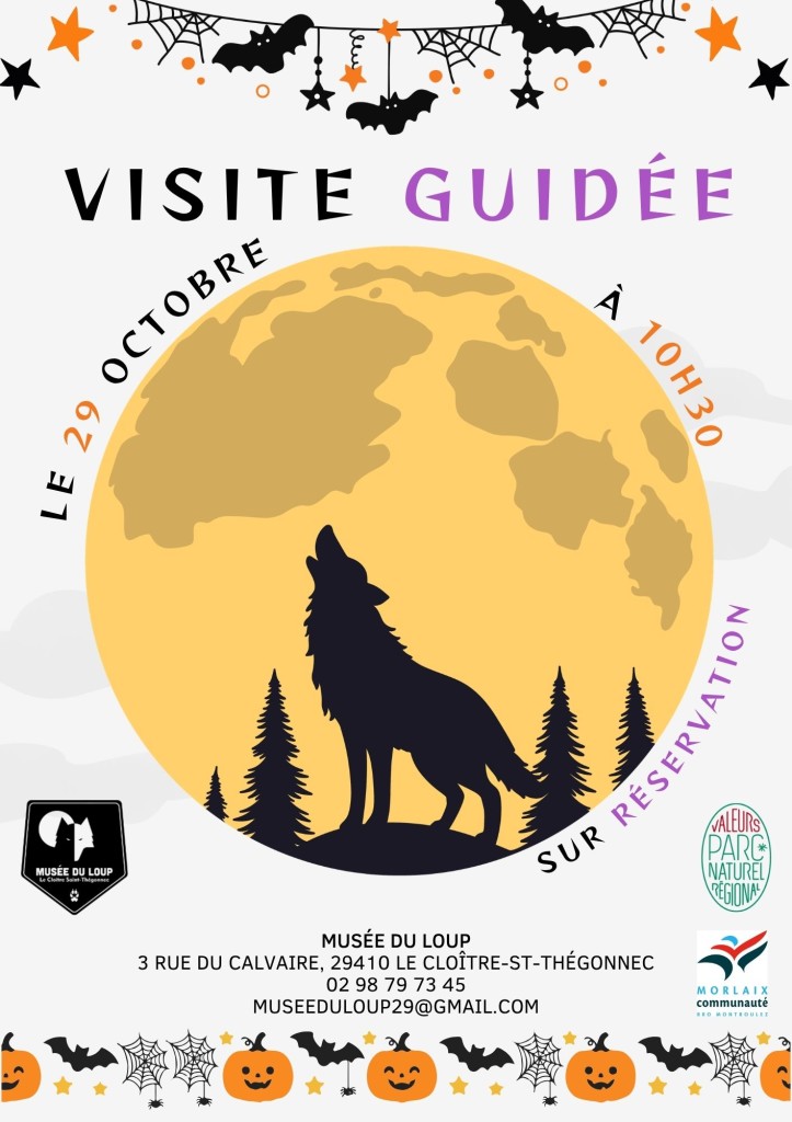visite guidée 29-10-26